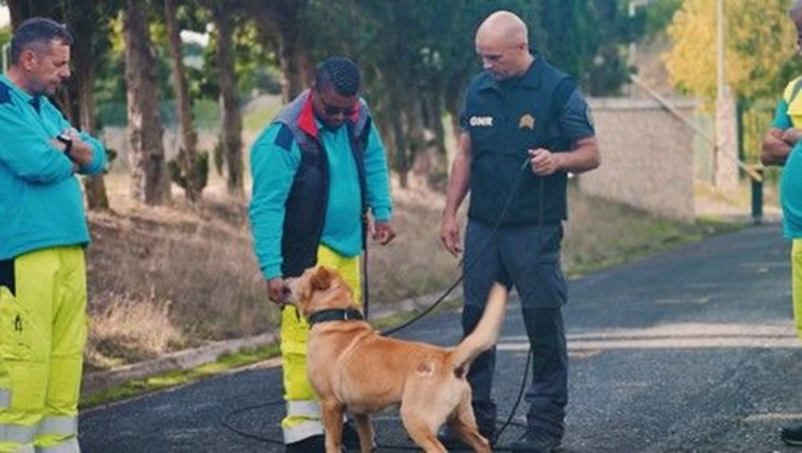 Ascendi e GNR reforçam proteção animal e segurança rodoviária nas autoestradas