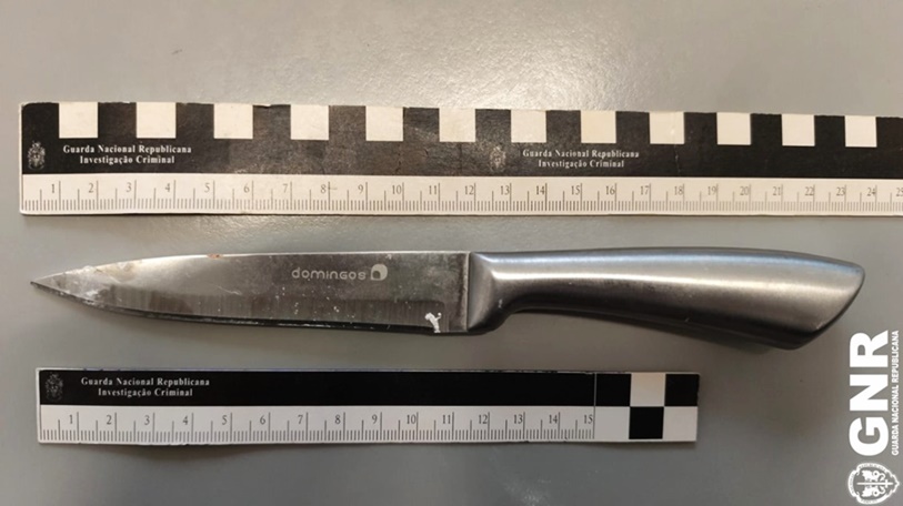 Homem em prisão preventiva por tentativa de homicídio em Pêro Pinheiro