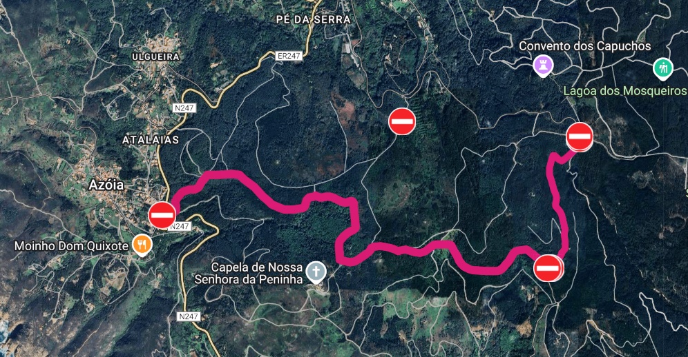 Perímetro florestal da serra de Sintra 